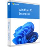 Windows 11 Enterprise